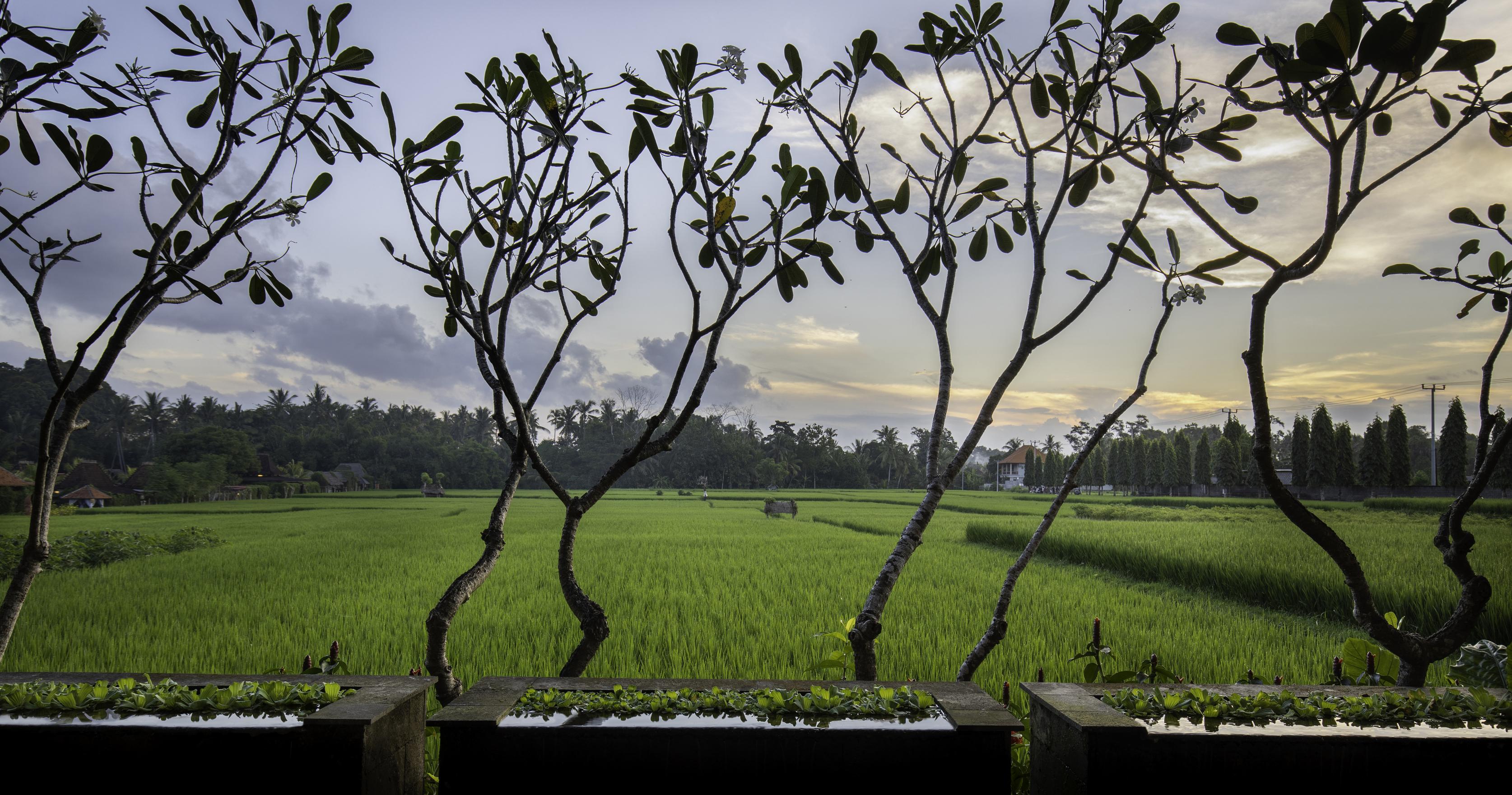Villa Kayu Lama Ubud Exteriér fotografie