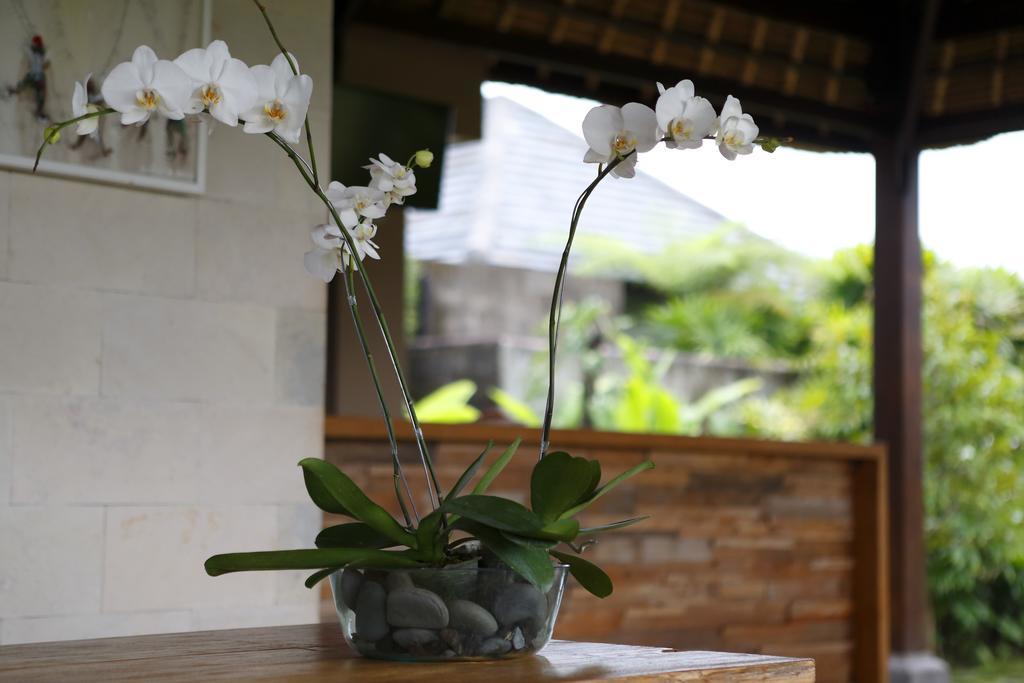 Villa Kayu Lama Ubud Exteriér fotografie
